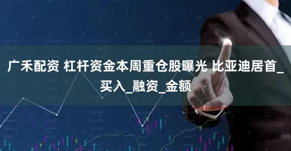 广禾配资 杠杆资金本周重仓股曝光 比亚迪居首_买入_融资_金额