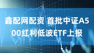 鑫配网配资 首批中证A500红利低波ETF上报