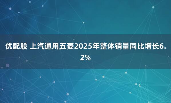 优配股 上汽通用五菱2025年整体销量同比增长6.2%
